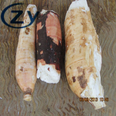 Thép không gỉ 304 lột và máy giặt sắn làm